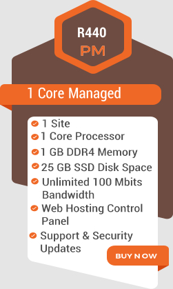 1 C o r e Managed R440