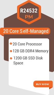 20 Core Self-Managed R24532 128 GB DDR4 Memory 1200 GB SSD Disk Space 20 Core Processor
